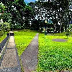 Clementi Park (D21), Condominium #502138491